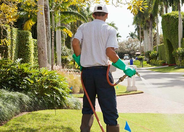 About Achilles VA Pest Control